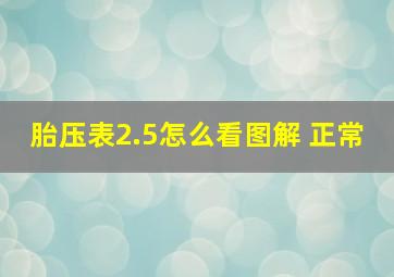 胎压表2.5怎么看图解 正常